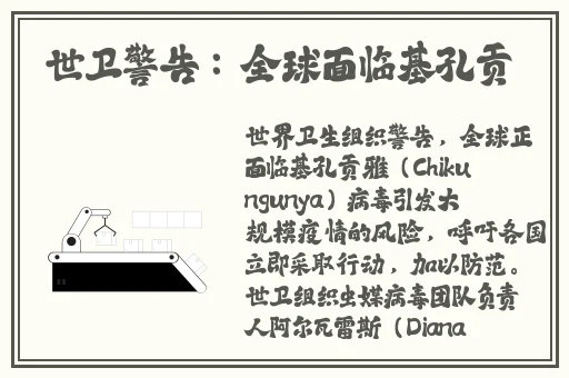 紧致细腻白嫩饱满丰盈